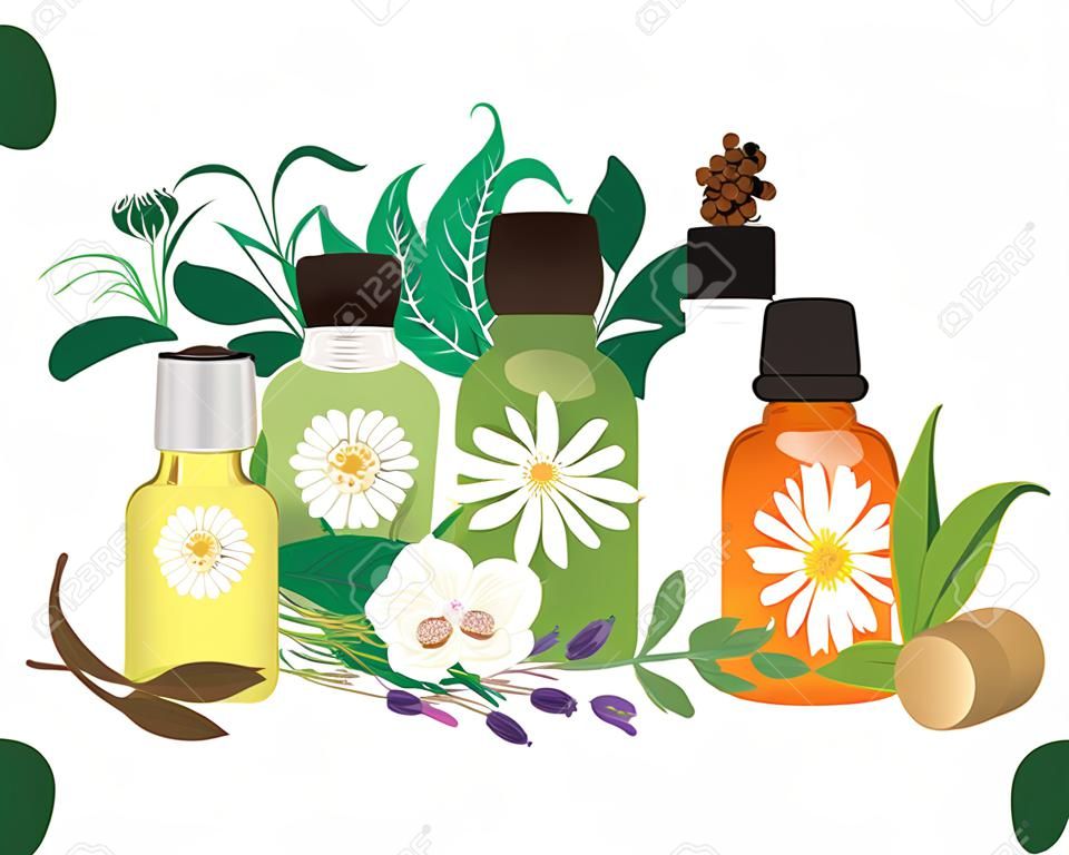 Conjunto de ilustração vetorial de óleos essenciais Aromatherapy