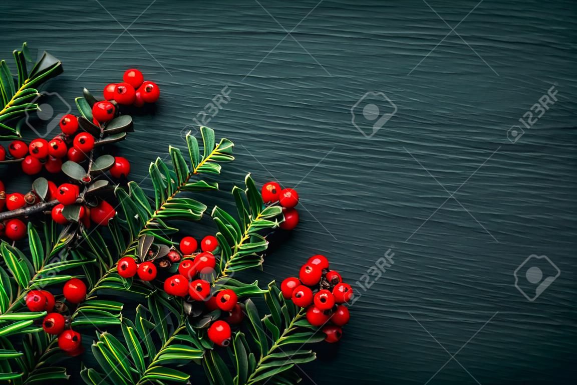 Frame with fir branches and Pyracantha decorations on dark stone background