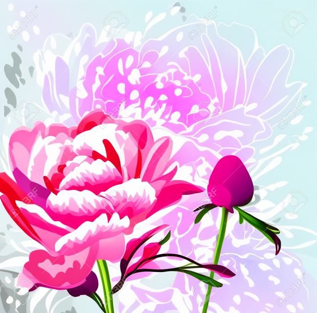 Vector immagine decorativa fiori di peonia