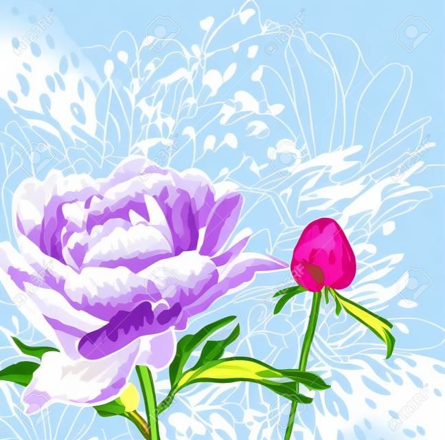 Vector immagine decorativa fiori di peonia