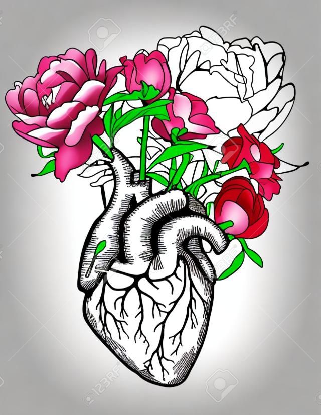 drawing Human heart with flowers background. vector