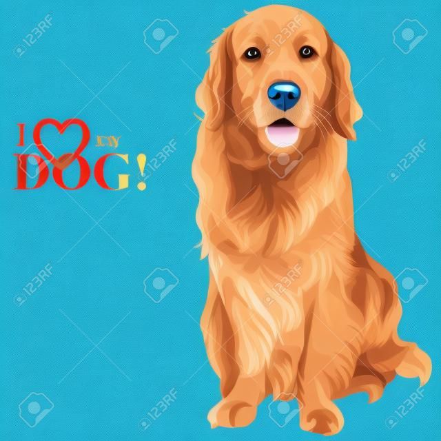 Vector smiling red gun dog breed Golden Retriever sitting on the blue background