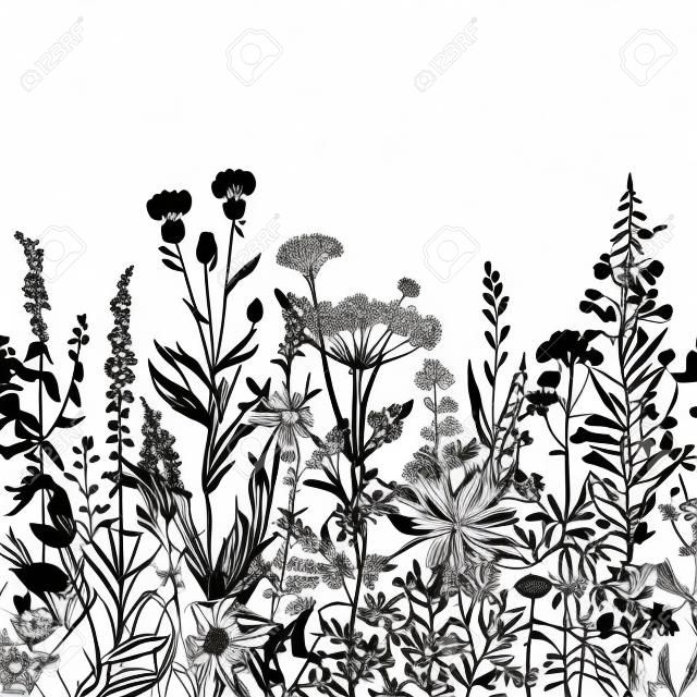 Vector senza soluzione di continuità bordo floreale. Erbe e fiori selvatici. Illustrazione botanica incisione stile. Bianco e nero