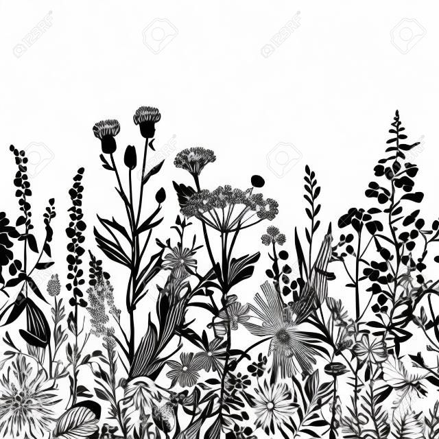 Vector floral sem emenda. Ervas e flores selvagens. Estilo de gravação de ilustração botânica. Preto e branco