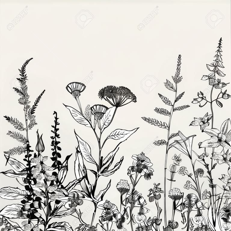 ベクトル シームレス花柄ボーダー。ハーブや野生の花。植物の図彫刻スタイル。黒と白