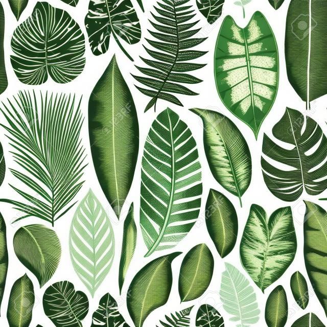 Vector seamless vintage floral pattern. Exotic leaves. Botanical classic illustration. Green