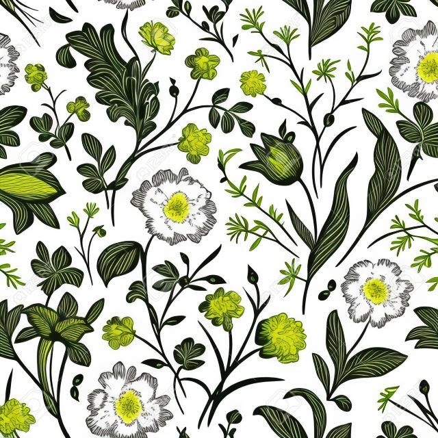 Patrón floral vector transparente. Ilustración clásica. Toile de Jouy