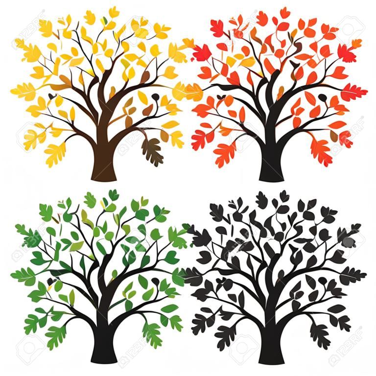 四橡木有黃色，紅色和綠色的樹葉烏木