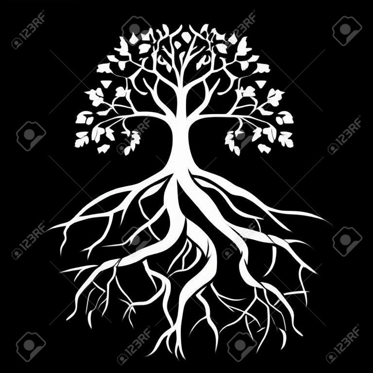 검은 색과 흰색 배경에 뿌리를 가진 나무