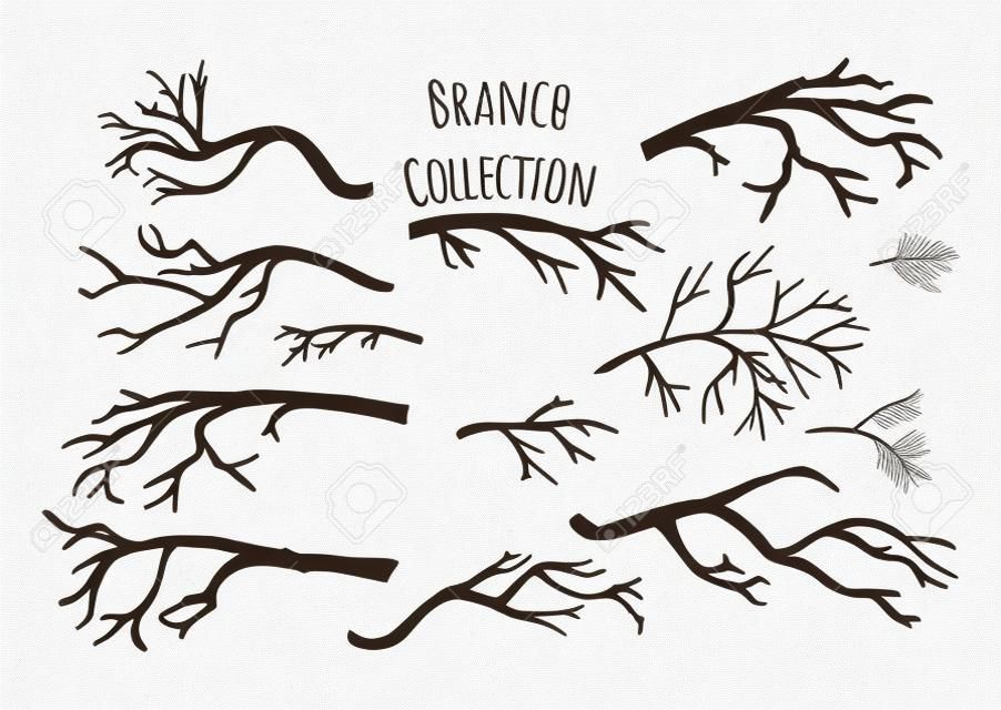 Dibujado a mano colección de ramas de los árboles.
