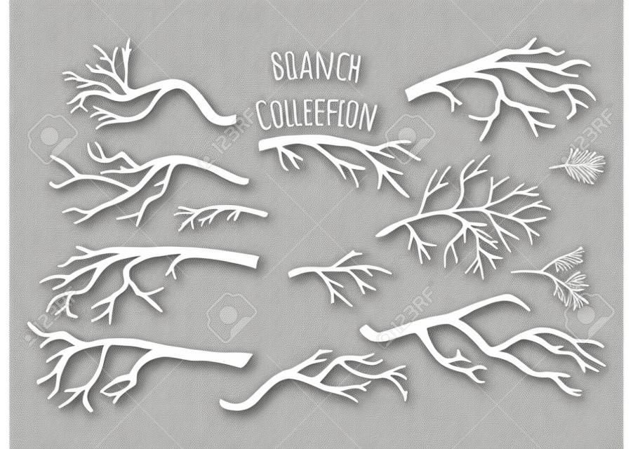Dibujado a mano colección de ramas de los árboles.