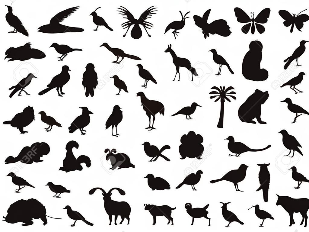 Silhouetten von Wild- und Haustieren, Vögeln und Insekten auf einem weißen Hintergrund.