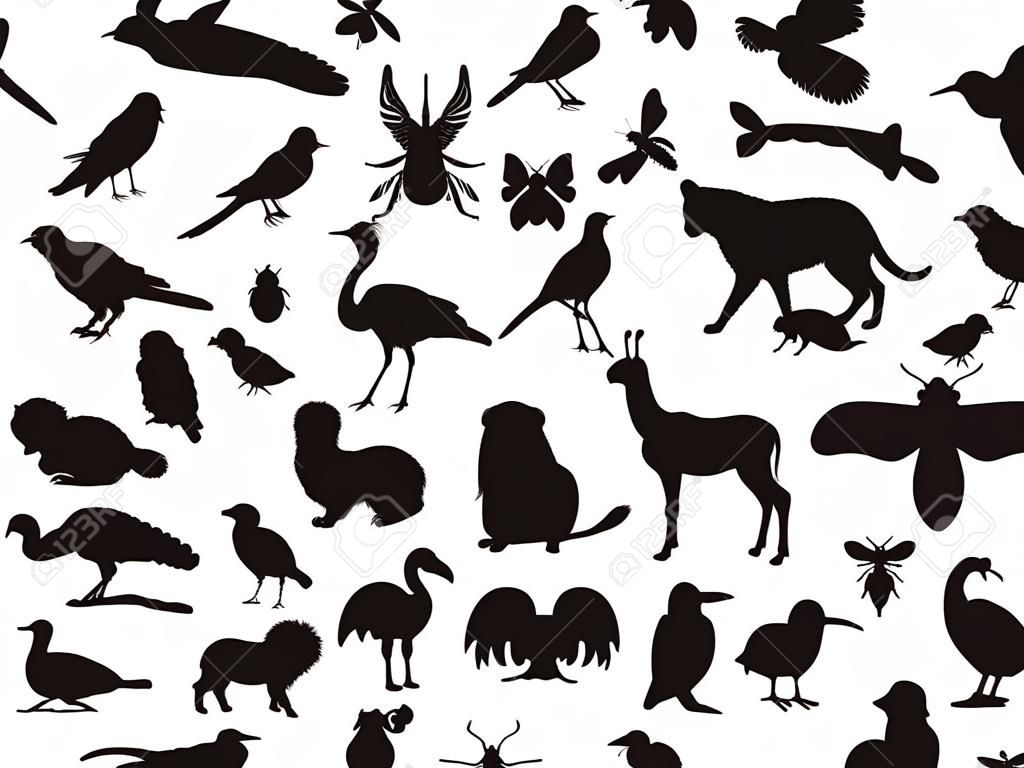 siluetas de animales salvajes y domésticos, aves e insectos sobre un fondo blanco.