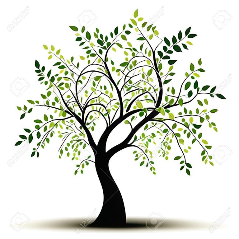 Green tree over white background
