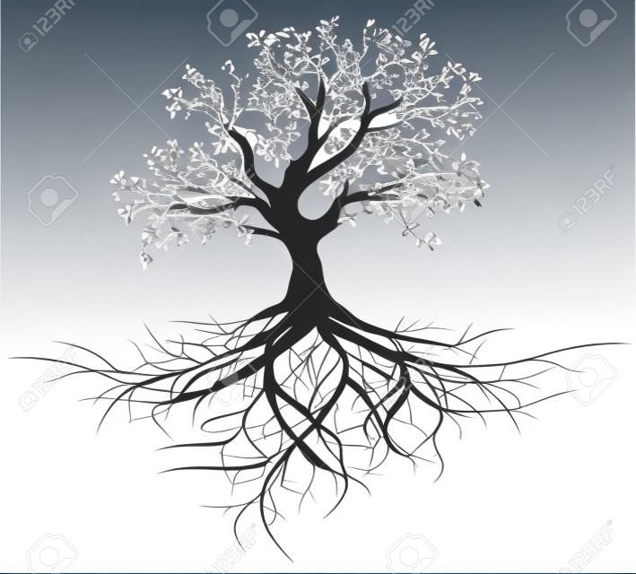 CaÅ‚y czarny drzewo z korzeniami pojedyncze biaÅ‚e tÅ‚o wektor