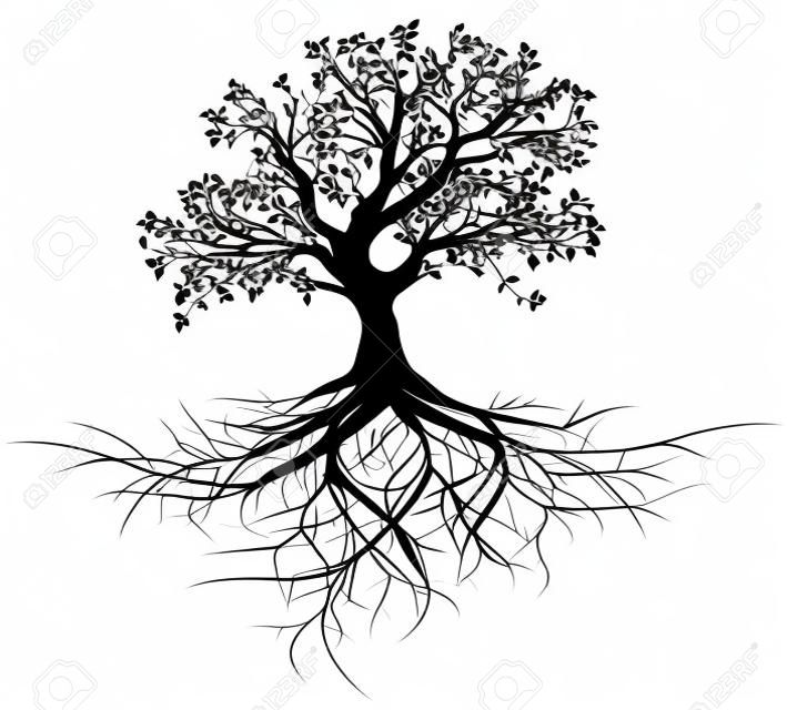 todo el árbol negro con raíces aisladas de vectores de fondo blanco