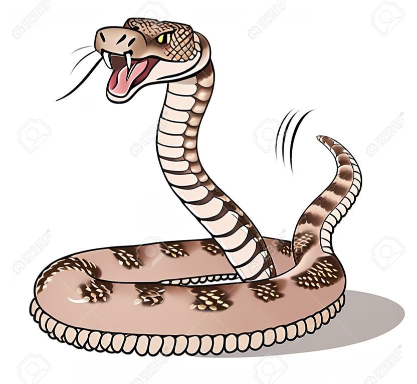 Illustrazione di cartone animato serpente a sonagli isolato su sfondo bianco.