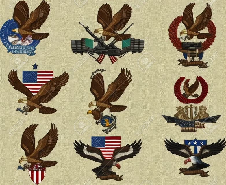 American eagle. Military marine and crossing rifles. Military combat aircraft