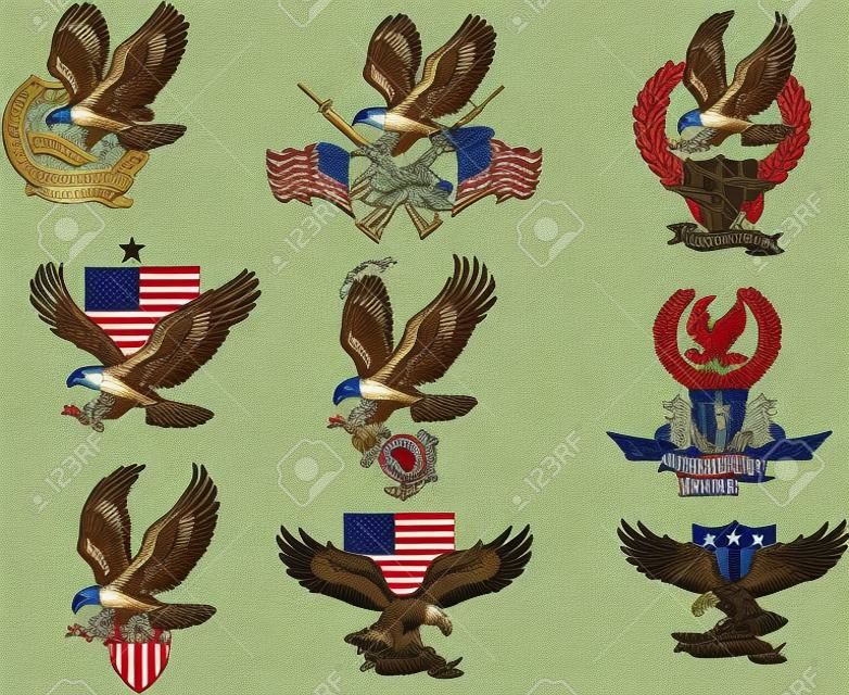 American eagle. Military marine and crossing rifles. Military combat aircraft