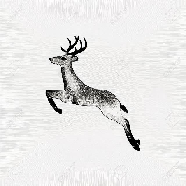 Cute deer illustration. Baby deer with flowers. Realistic illustration.  Black and white. Stock Illustration | Adobe Stock