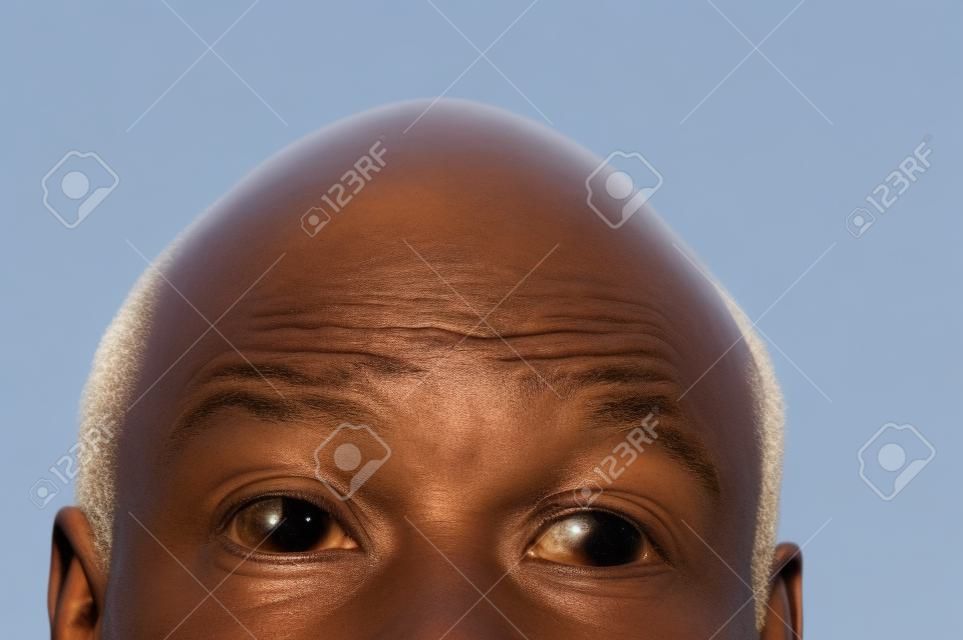 bald head looking up isolated