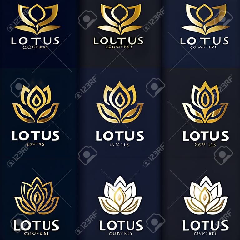 Arany lótusz logo szimbólumok fehér és sötétkék háttér vektor tervezés