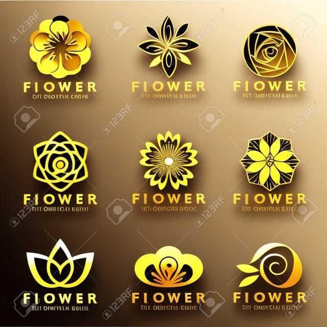 Diseño de arte del conjunto de vectores de flor de oro de diseño