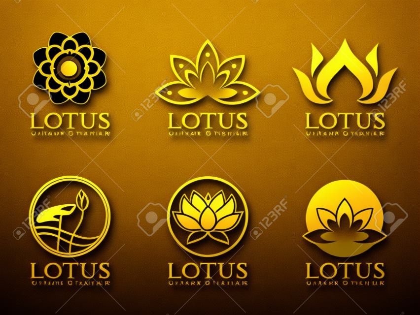Gold lotus logo sign vector set design.