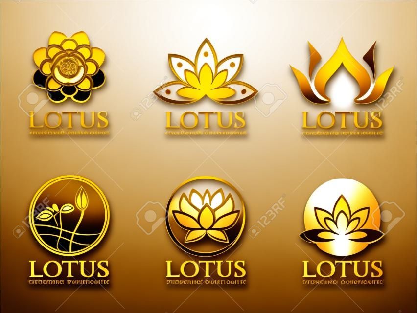 Gold lotus logo sign vector set design.