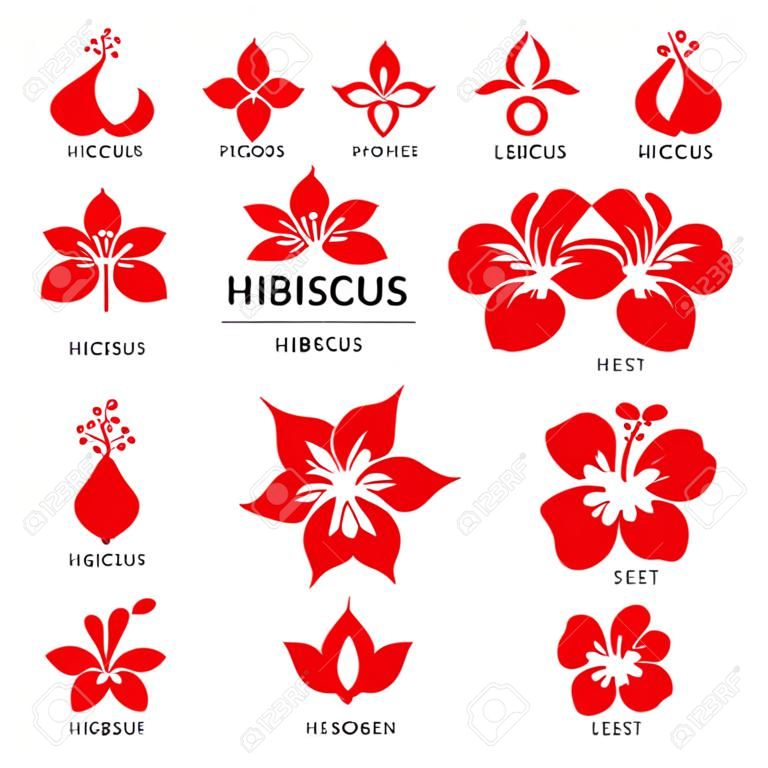 Czerwony kwiat hibiskusa logo znak wektor zestaw projekt