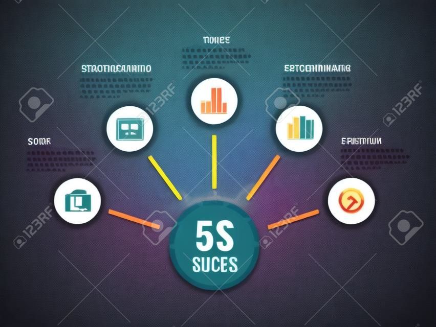 5S steps for success with icon circle are roll diagram chart vector design