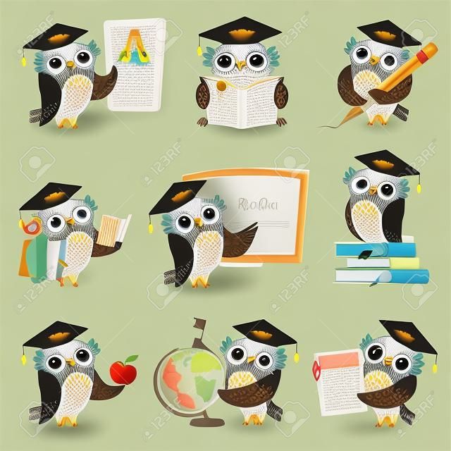 Scuola di gufi. Caratteri degli uccelli dell'insegnante che insegnano a leggere la raccolta del fumetto dei gufi di scrittura. Gufo insegnante di uccelli, mascotte dello studio e dell'insegnamento dell'illustrazione
