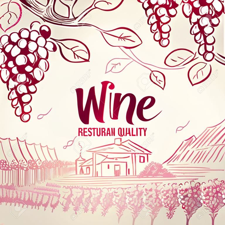 Wine background. Grapes leaves branch bottles corkscrew symbols for frame restaurant menu vector design. Illustration of restaurant menu wine