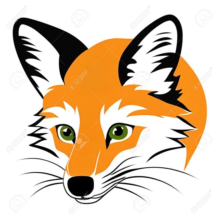 Illusztráció fox fej rajzfilm stílusú