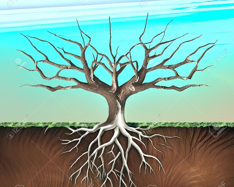 一个树的形象，时尚的两层，根地下，这是一个三维渲染插图。