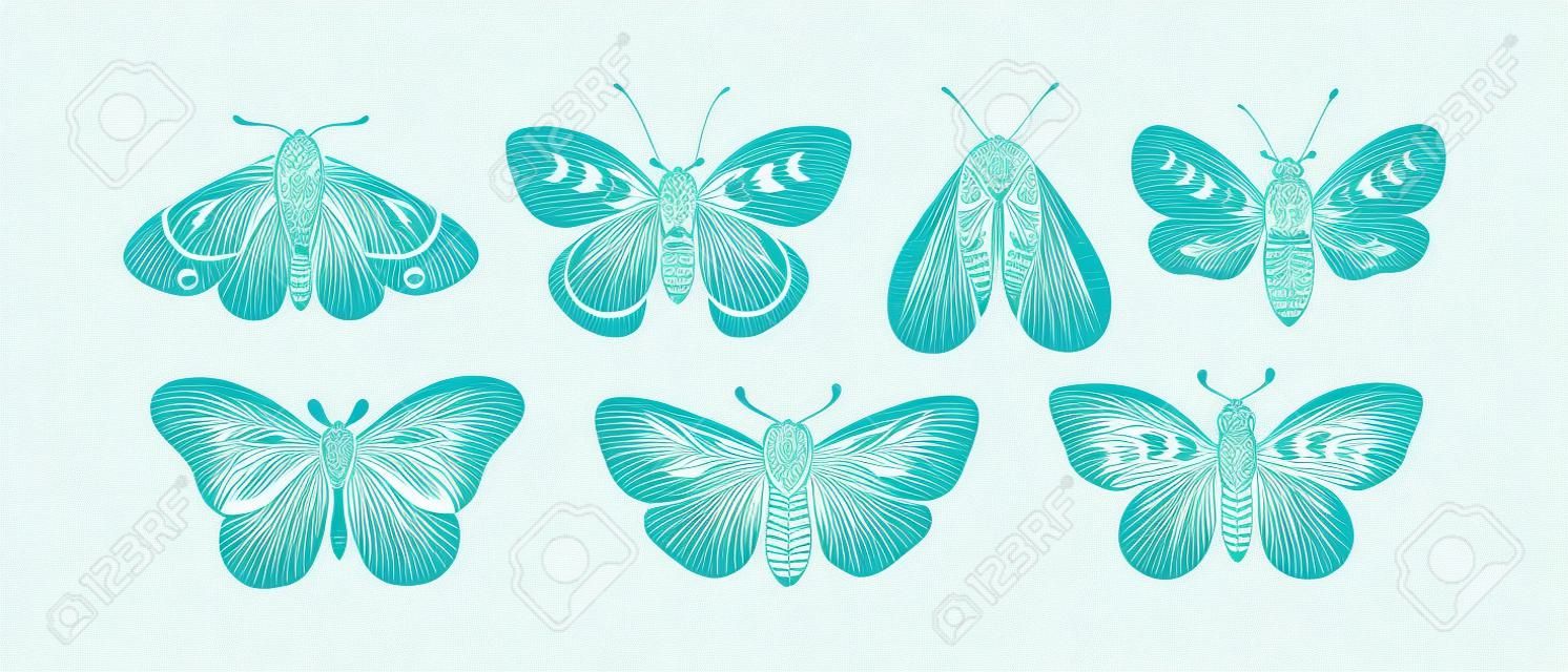 Vector seamless pattern - celestial butterfly. Mystical insect luna moth, floral moon on white background. Design for magic print, fabric, wallpaper, textile, magical decor.
