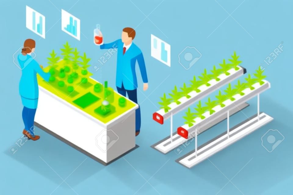 Isometrisch concept van laboratorium het verkennen van nieuwe methoden van plantenfokkerij en landbouwgenetische. Planten groeien in de reageerbuisjes