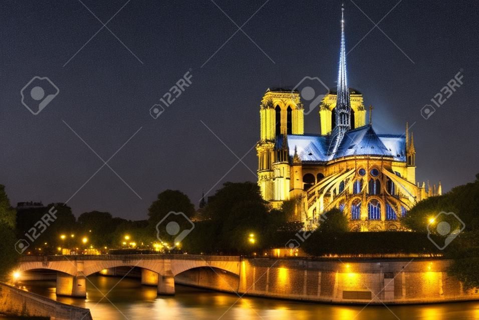 夜のノートルダム・ド・パリとフランスのパリの街のフランスのセイン川