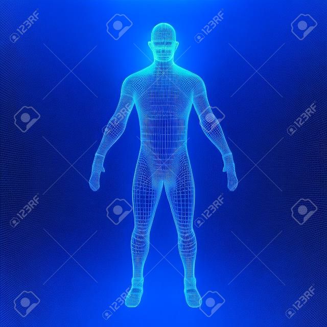 Wireframe human body in virtual reality. Medical blue print scanned 3D model. Polygonal technology design