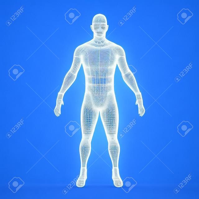 Wireframe human body in virtual reality. Medical blue print scanned 3D model. Polygonal technology design
