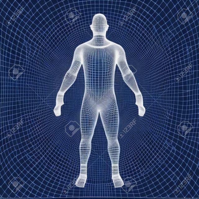 3D draadframe menselijk lichaam
