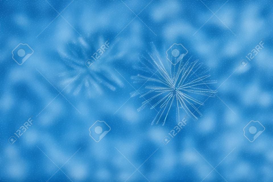 De takken van de blauwe spar close-up. Rustieke kerst textuur. Vuur takken op de donkere achtergrond. Kerst behang concept. Kopieer ruimte.