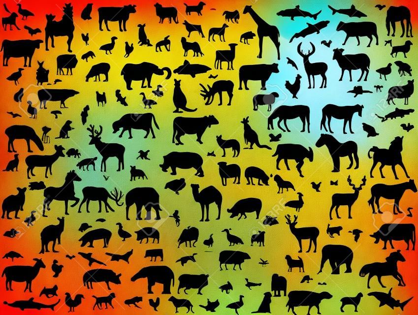 big collection of different animals silhouette 