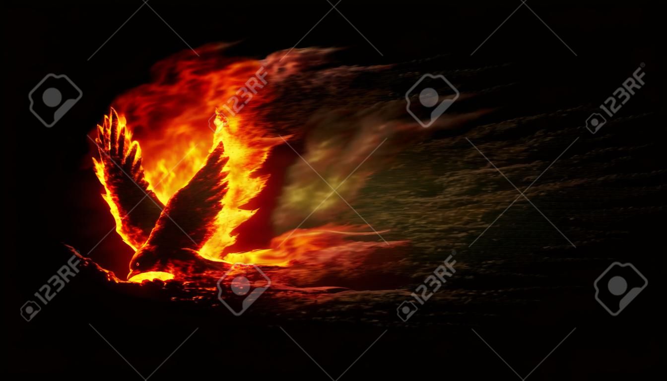 Silhouette dell'uccello con le fiamme di fuoco ed esplosione con un sacco di scintille