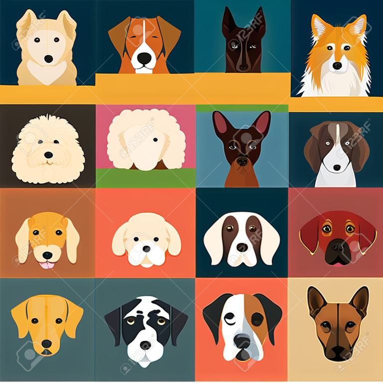 Razze canine icone del fumetto nella raccolta di set per design.Muso di un cane simbolo vettore illustrazione stock.
