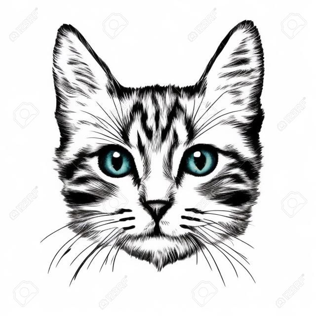 Küçük kedi eli isolated on white background çizilir