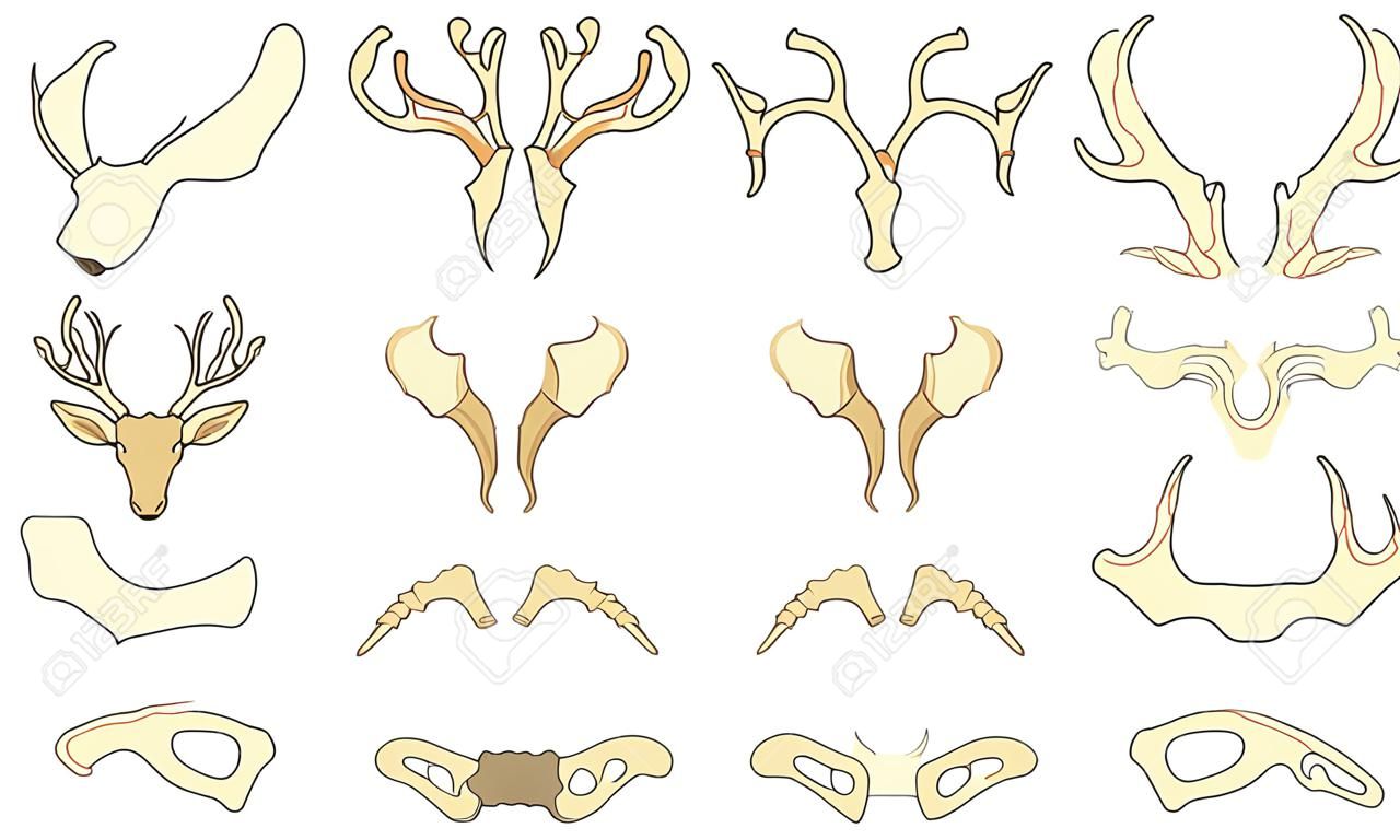 Vector de cuerno. Conjunto de ilustración de astas de antílope de ciervo y animal salvaje con cuernos