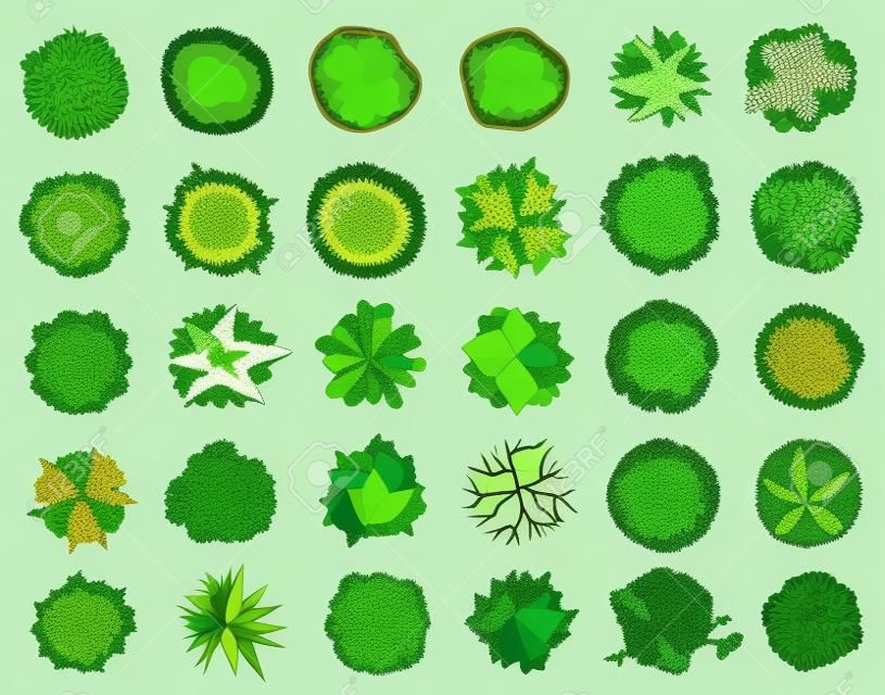 Trees top view. Different icon of plants and trees for architectural or landscape plan. View from above. Nature green spaces. Vector