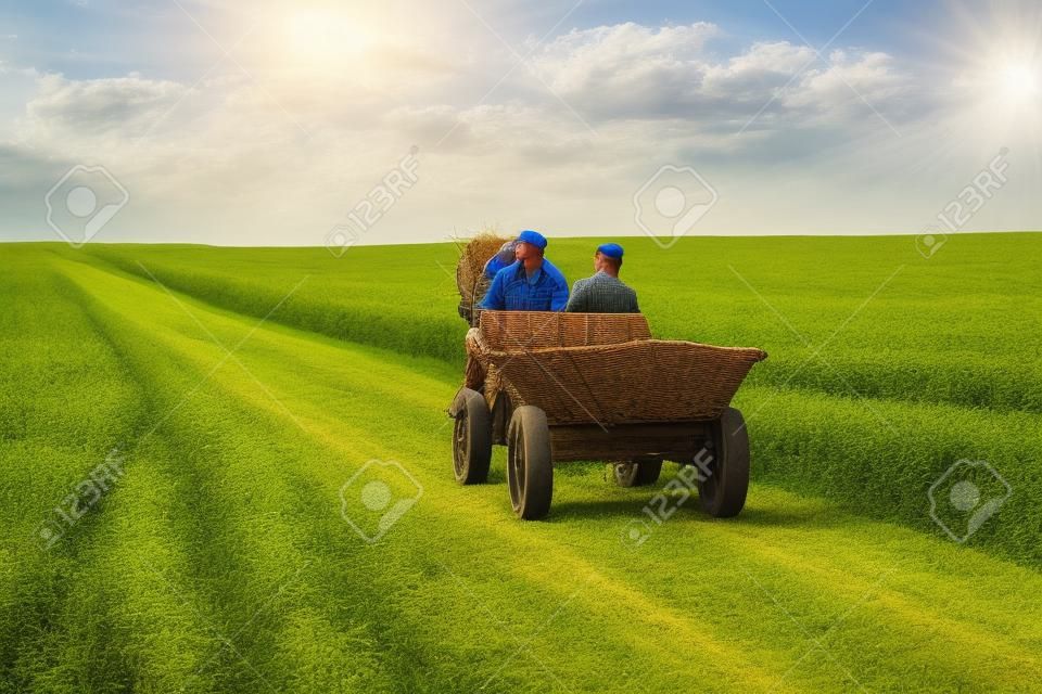 Zwei Mann auf alten hölzernen Wagen - Zeit der Ernte für die Ukraine.