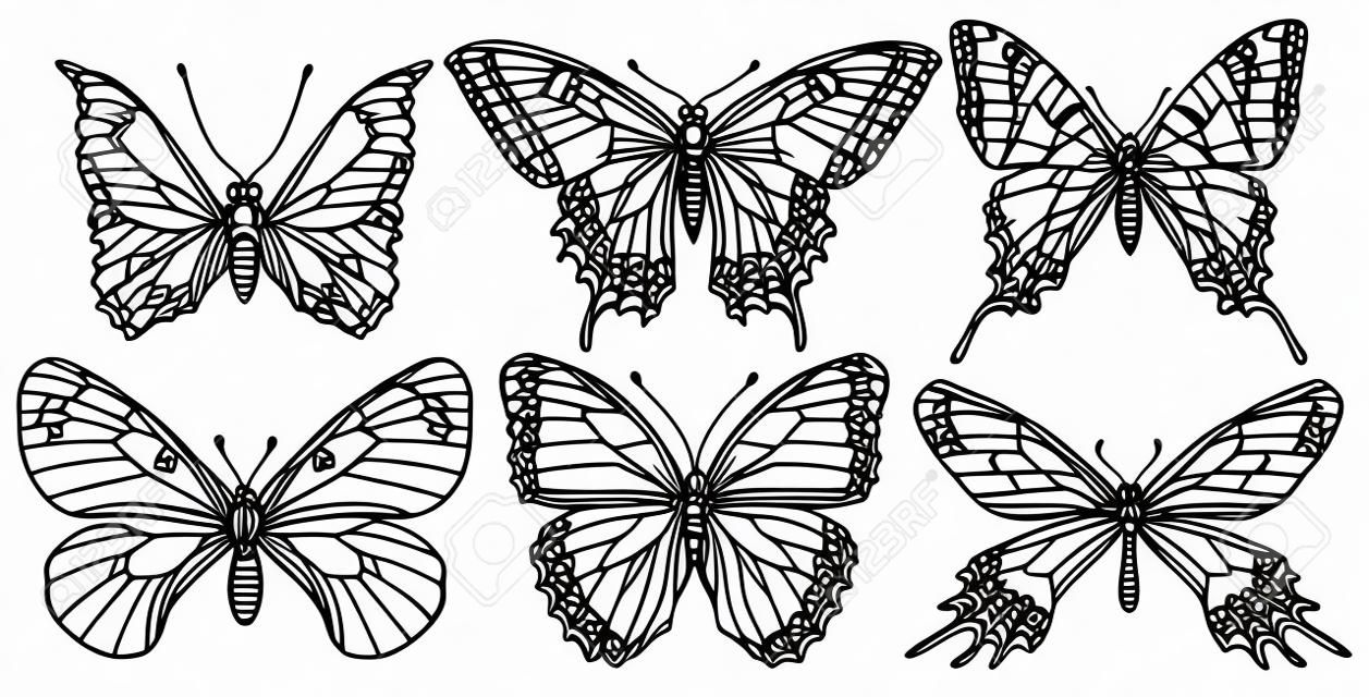 Vector set of various butterflies in retro style. Realistic collection of contour drawings of butterflies. Vector illustrations isolated on white background